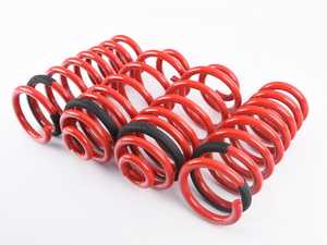 Lowering Spring Kit