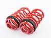 Megan Racing Lowering Spring Kit MRLSBX507 View 2