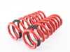 Megan Racing Lowering Spring Kit MRLSBX507 View 3