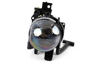 Fog light assembly - left 
