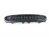 Genuine MINI ORNAMENTAL GRILLE HO 51712414980 View 1