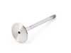 TRW TRW Exhaust Valve  - E28, E30, E34 11129 View 1