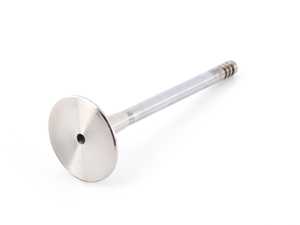 TRW Exhaust Valve  - E28, E30, E34