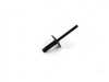 Genuine BMW Genuine BMW Blind Rivet - 51777171004 - E70 X5,E71 X6,F15,F16,F25,F26 51777171004 View 1