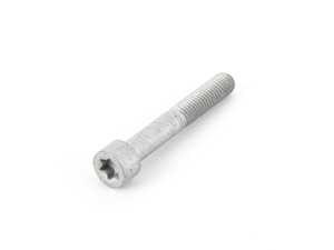 Genuine BMW Isa Screw