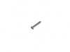 Genuine BMW Genuine BMW Recessed Oval Head Sheet-Metal Screw - 07119902552 - E36 07119902552 View 1