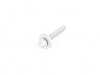 Genuine BMW Genuine BMW Torx-Bolt With Washer - 31106866496 31106866496 View 1
