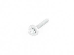 Genuine BMW Torx-Bolt With Washer - 31106866496