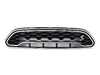 Genuine MINI DECORATIVE GRILL HOO 51137405406 View 1