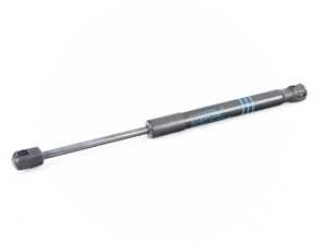 Hood Lift Support - F06, F10, F12, F13