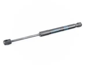 Hood Lift Support - F06, F10, F12, F13