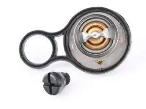 Thermostat W/ Gasket