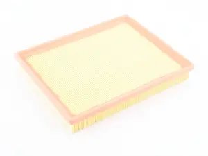 Hengst Air Filter - F30, F32, F33, F34, F36, F87