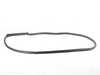 Genuine MINI Front Door Seal - Left  51355A505D1 View 1