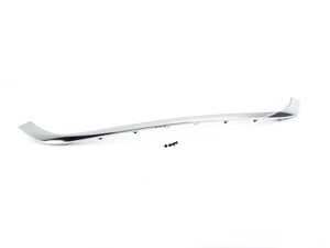 Upper Section Trim With Chrome & Screws Repair Kit R55- R59