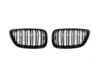ECS Gloss Black Dual Slats Blackout Grille Set - F22  015737ECS02A View 1