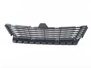 Grill - Air Intake - Center - F06