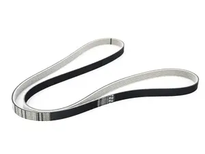 Genuine BMW Accessory Belt - E9X 335d