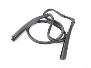 Genuine BMW Window Guide, Rear - 54347174800
