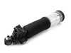 Genuine BMW Genuine BMW Air Spring Strut, Rear Left - 37126858813 37126858813 View 4