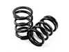 BC Racing BC Racing BR Series Extreme Low Coilovers - Z3 2.3 2.5 2.8 2.5i 3.0i M Coupe/Roadster I-10E-BR View 5