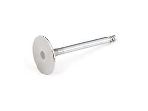 Intake Valve - Priced Each