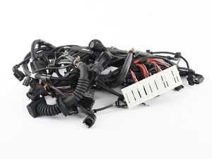Engine Wiring Harness - E70