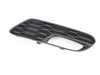 Genuine BMW GRID LOWER PART LEFT 51127351659 View 4