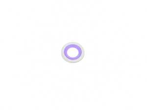 Gasket Ring