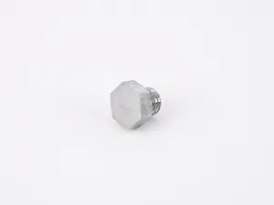 Coolant/Oil Drain Plug