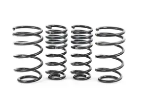 Pro-Kit Performance Springs - FWD