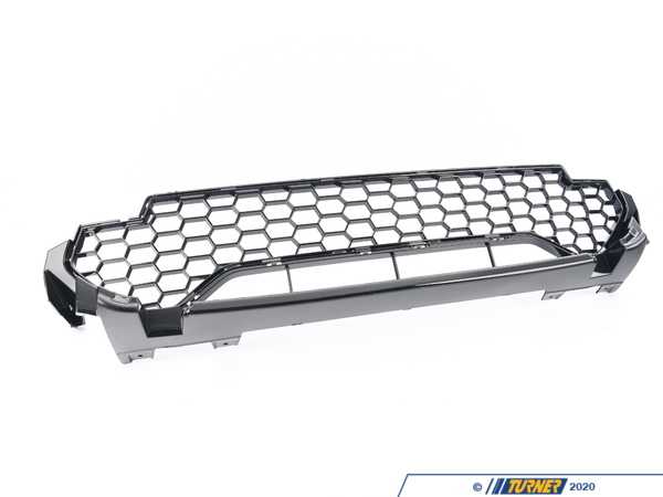 Genuine BMW GRILL, CENTER LOWER 51118065190