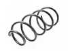 Lesjofors Lesjofors Front Coil Spring - E46 4008465 View 2