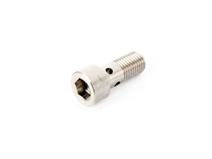 Genuine BMW Hollow Bolt M12 - 11427599836 - E70 X5,E71 X6,F10