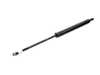 Meyle Trunk Gas Strut - Priced Each 51248110327 View 2