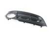 Genuine BMW GRILL, AIR INTAKE, C 51117346506 View 1