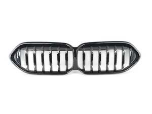 Front Kidney Grille - F44