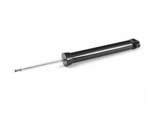 Rear Shock Absorber - F30