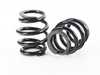 BC Racing BC Racing DS Series Coilover Suspension Kit - E46 Non-M RWD I-02-DS View 12