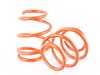 AFE aFe Control Lowering Springs - F3X 328/330i 428/430, F22/23 228/230i 410-503005-N View 5