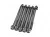 Victor Reinz Cylinder Head Bolt - Set Of 10 071314872261 View 1