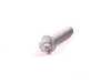 Genuine BMW Genuine BMW Camshaft Adapter Bolt (10 X 35 mm) (Torx Head) - E28 E30 E34 11311715412 View 1