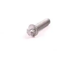 Genuine BMW Camshaft Adapter Bolt (10 X 35 mm) (Torx Head) - E28 E30 E34