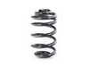 Febi Febi Rear Spring - E83 X3 33533413080 View 1