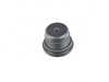Rein OEM Rein DCT Transmission Fluid Drain Plug - E82/88 E9X F8X F10 F12 28107842383 View 1