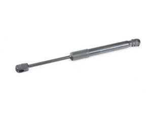 GAS STRUT, HOOD