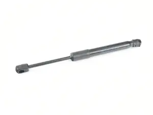 GAS STRUT, HOOD