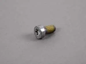 Genuine BMW Torx Screw - 23117531355