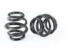 BC Racing BC Racing DS Series Coilover Kit - Z3 M & Non-M I-10-DS View 2