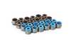 Supertech Supertech Upgraded Valve Stem Seal Kit - BMW S54 S52 S50 M54 M52 M50 vs-vbm6-6cylKT View 1